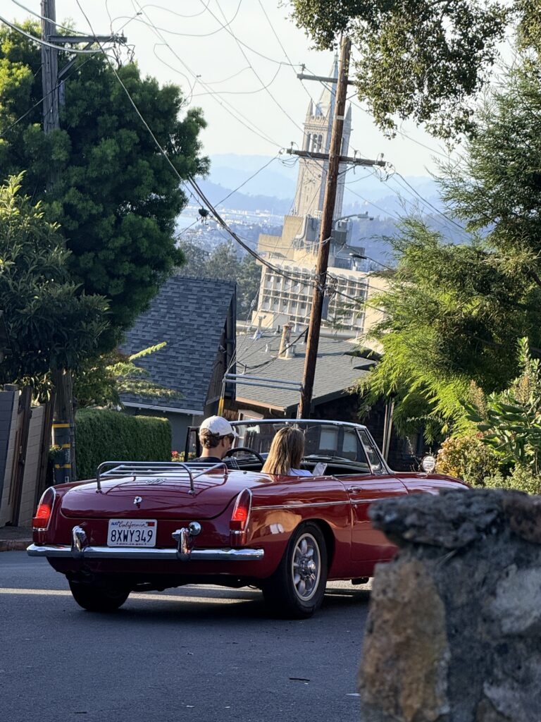Late afternoon view of the Berkeley Hills from Panoramic Way, showing hillside homes, trees, and sunlight over the Bay Area